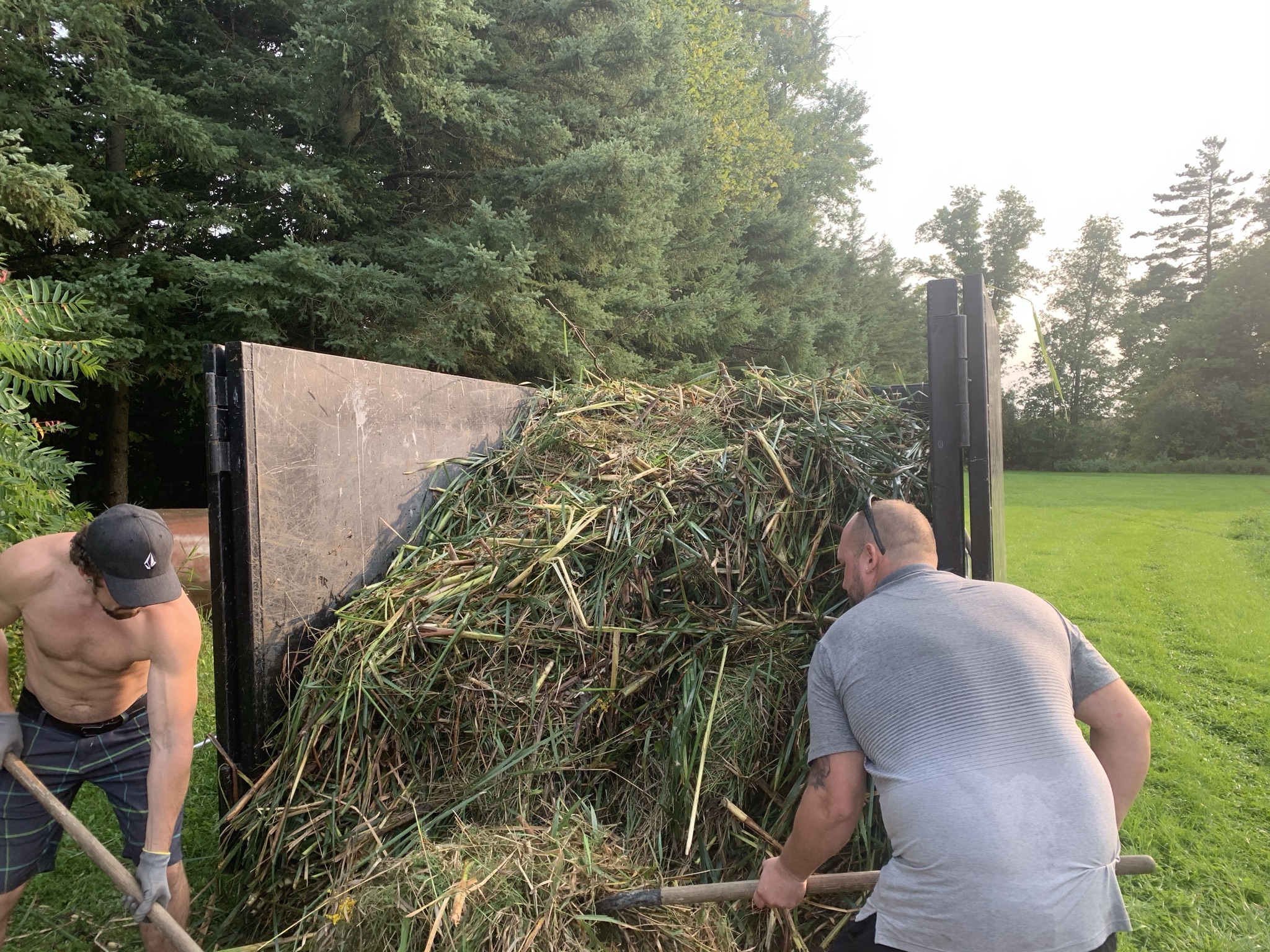 Two people are unloading a large pile of grass and branches from a truck in a green, wooded area.