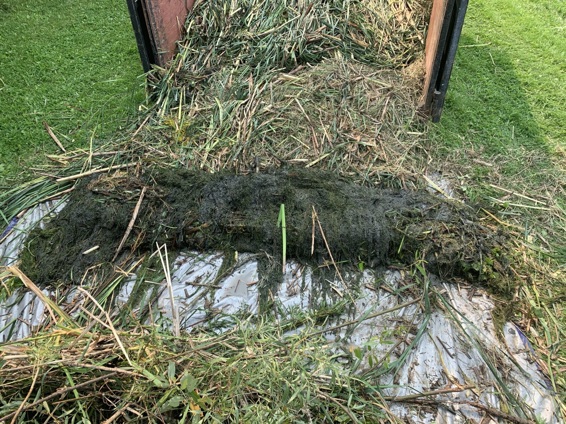 A pile of grass, weeds, and mud on a tarp, surrounded by a lush green lawn.