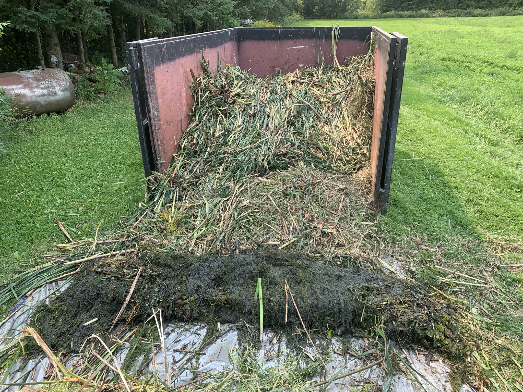 A trailer filled with cut vegetation is in a grassy area, next to trees and a weathered metal tank.