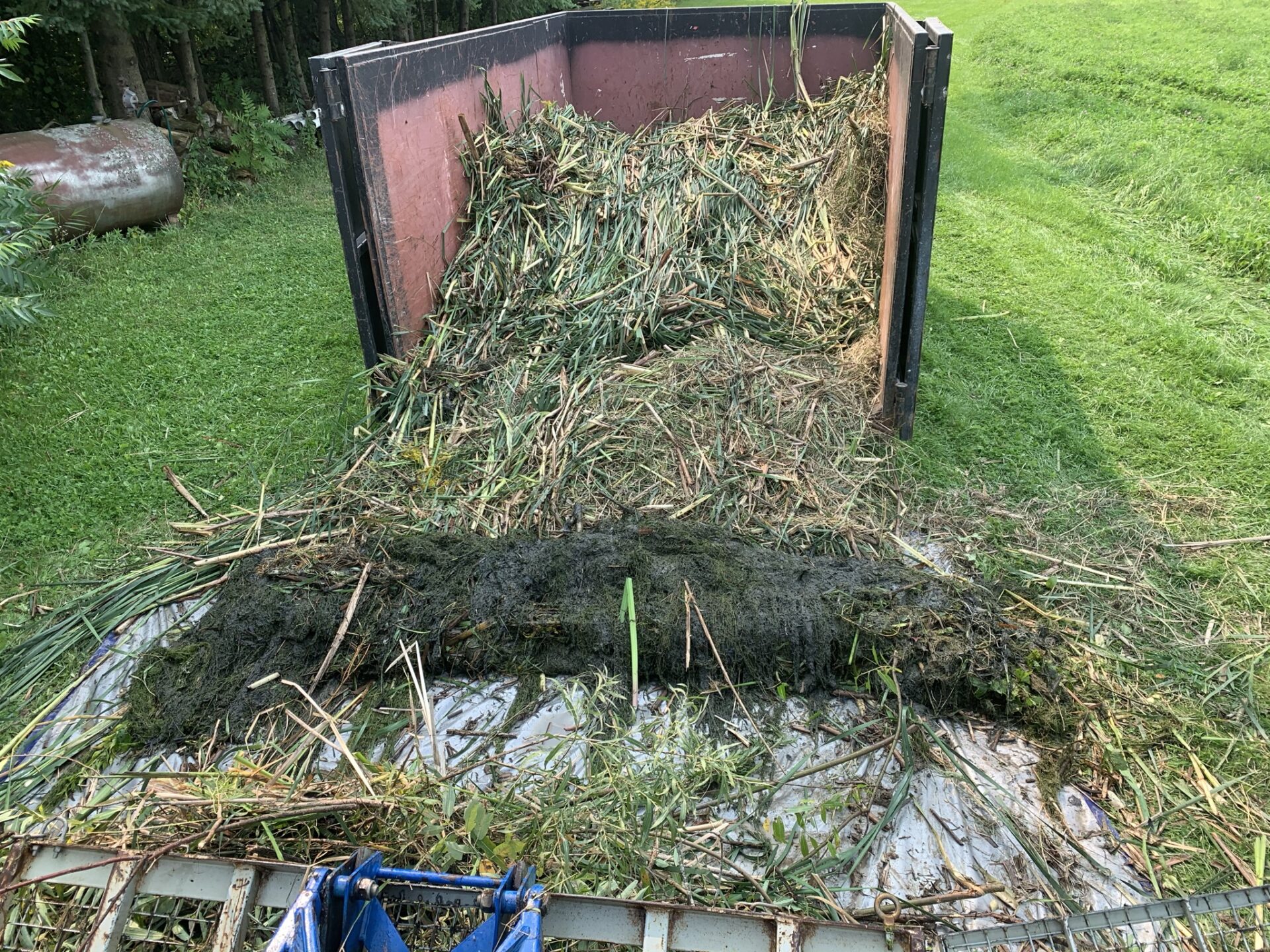 A pile of cut vegetation in a truck's open trailer on a grassy area, with trees and a metal tank in the background.