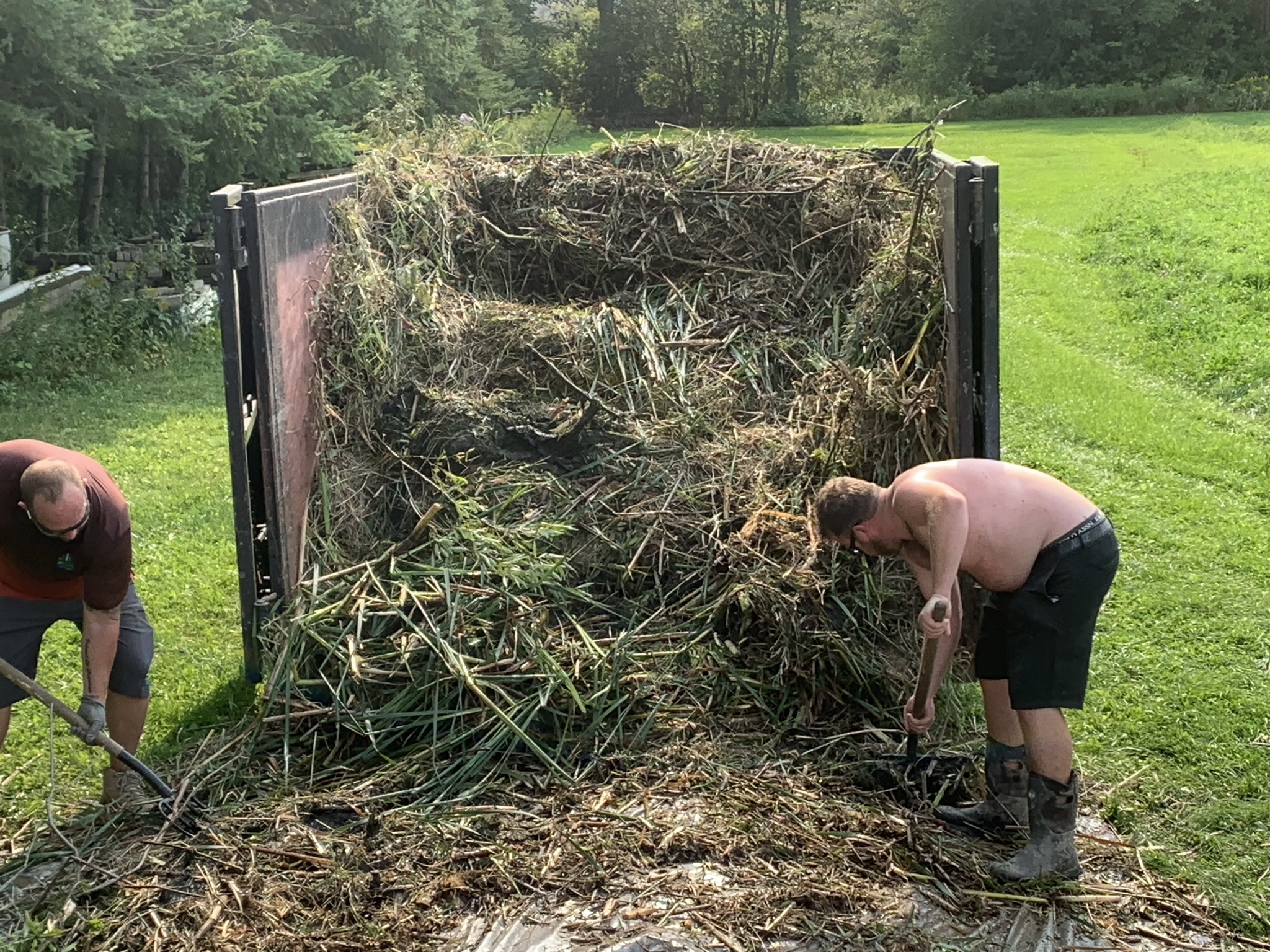Two people are working, unloading a large pile of plant debris from a truck in a grassy, wooded area.