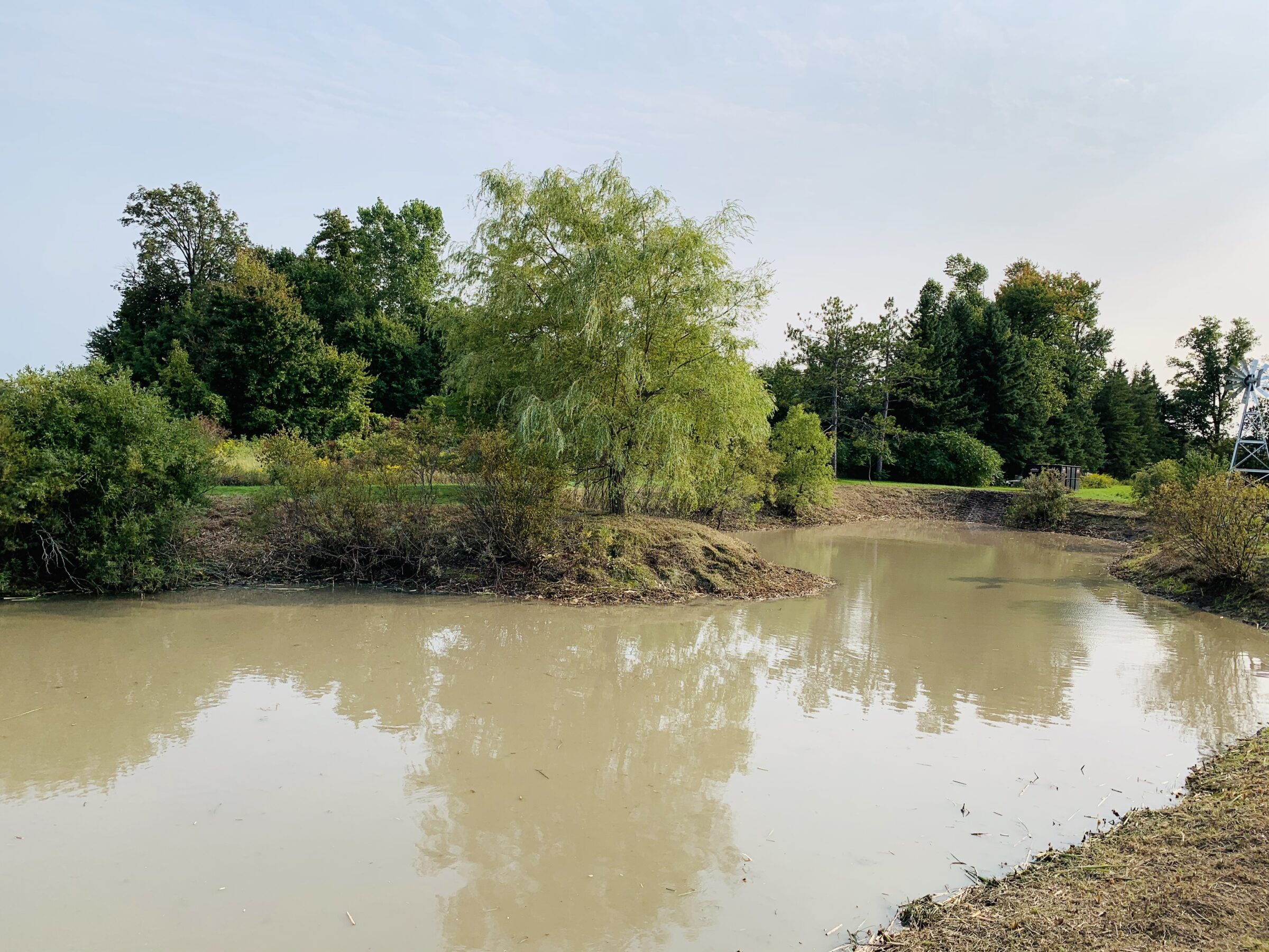 A serene pond surrounded by lush greenery under a clear sky, with a small windmill visible in the background.