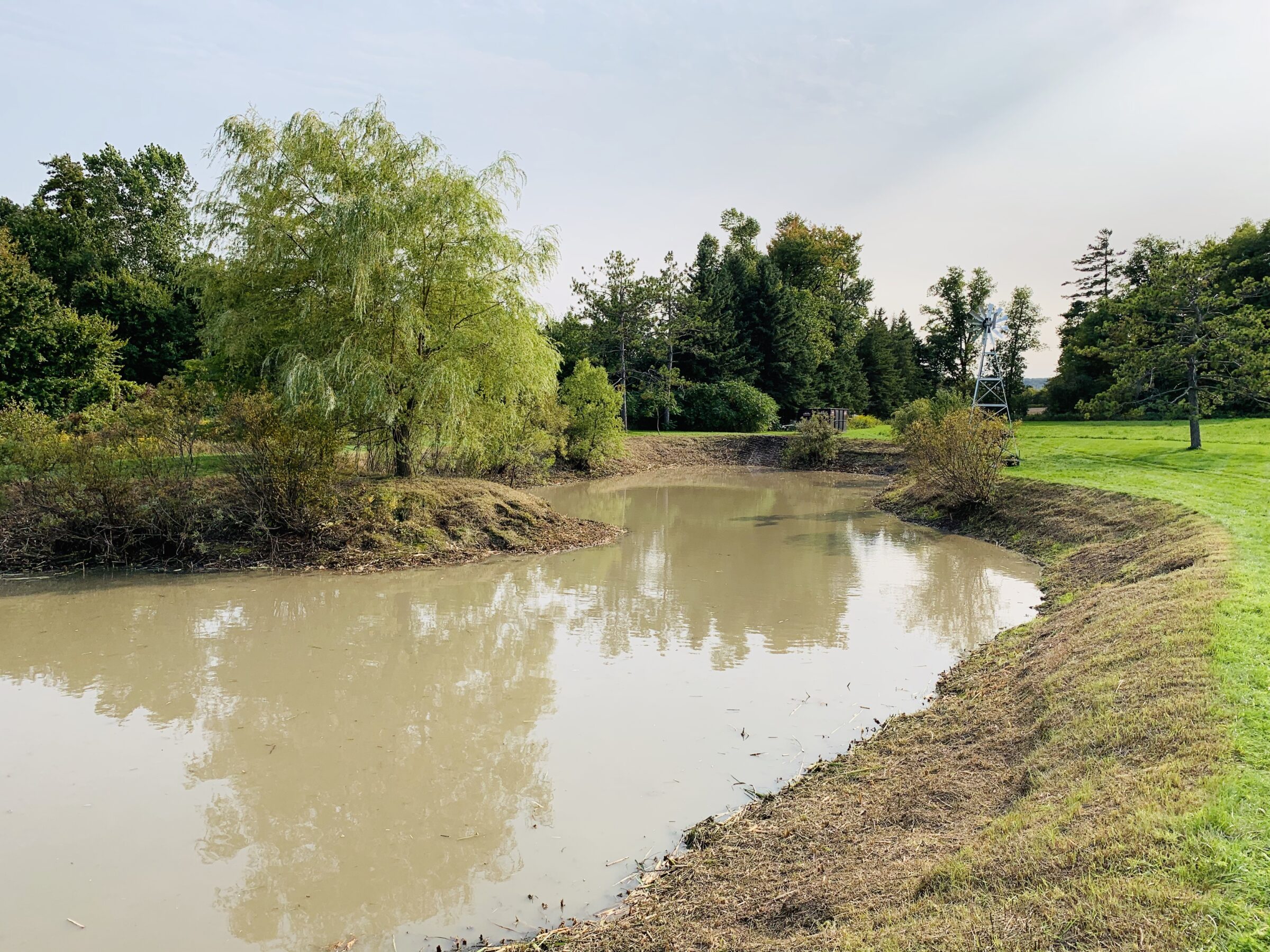 A serene pond with surrounding greenery, trees, and a windmill stand in a landscaped park setting under a clear sky.