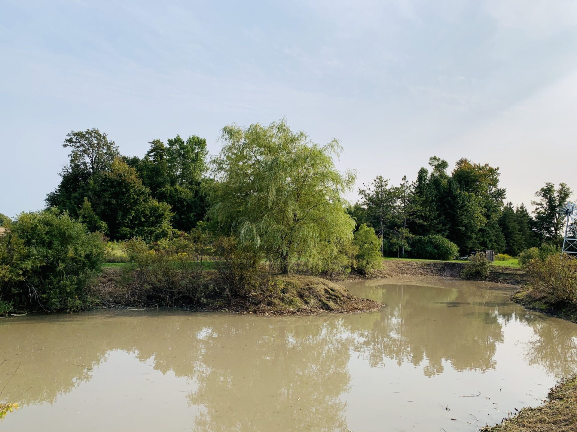 Tranquil pond surrounded by lush greenery, trees, and a small windmill on the right under a clear sky. No people visible.