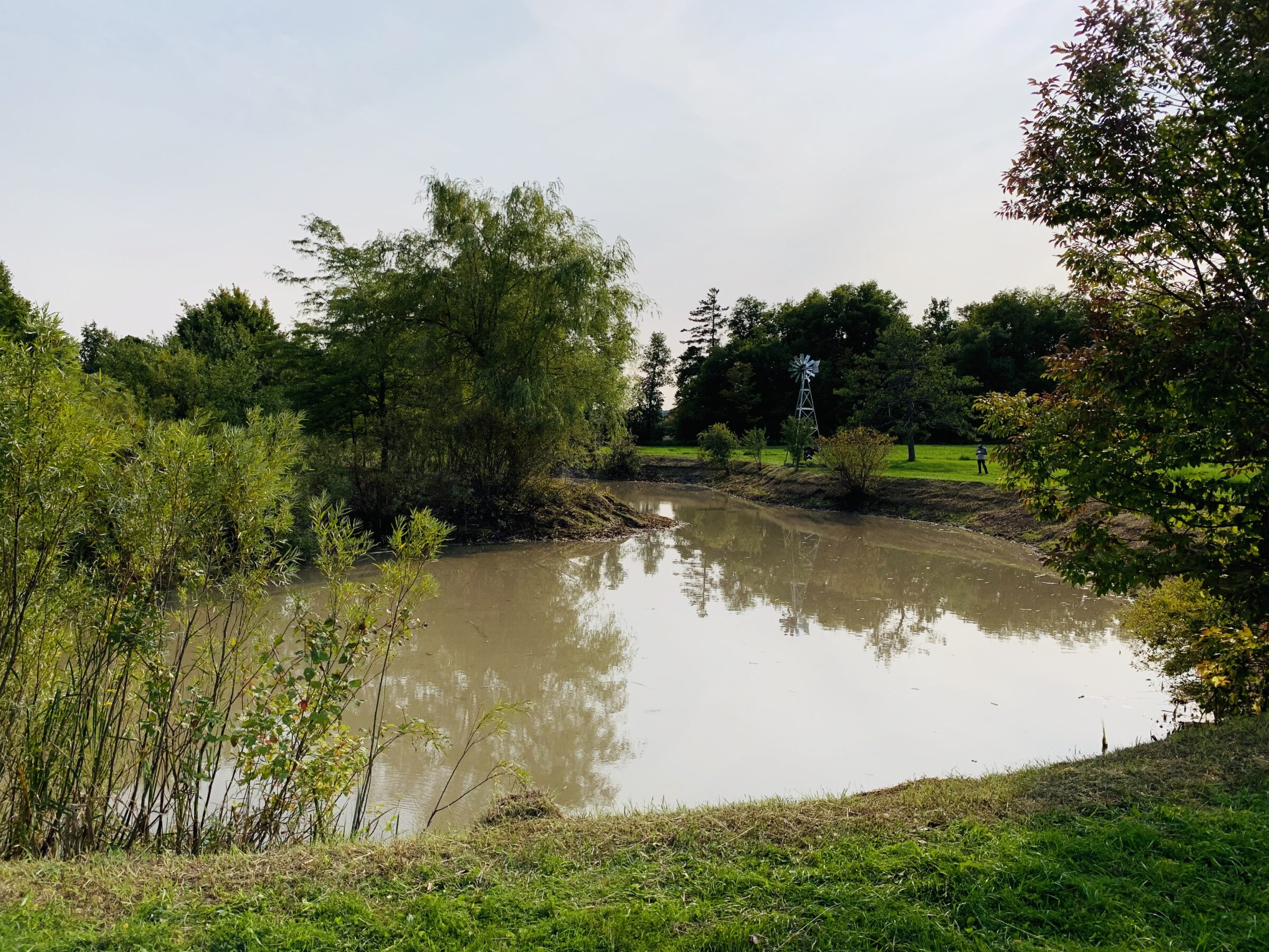 A serene pond reflects surrounding trees and a windmill. A person walks in the distance, enjoying the peaceful park setting.