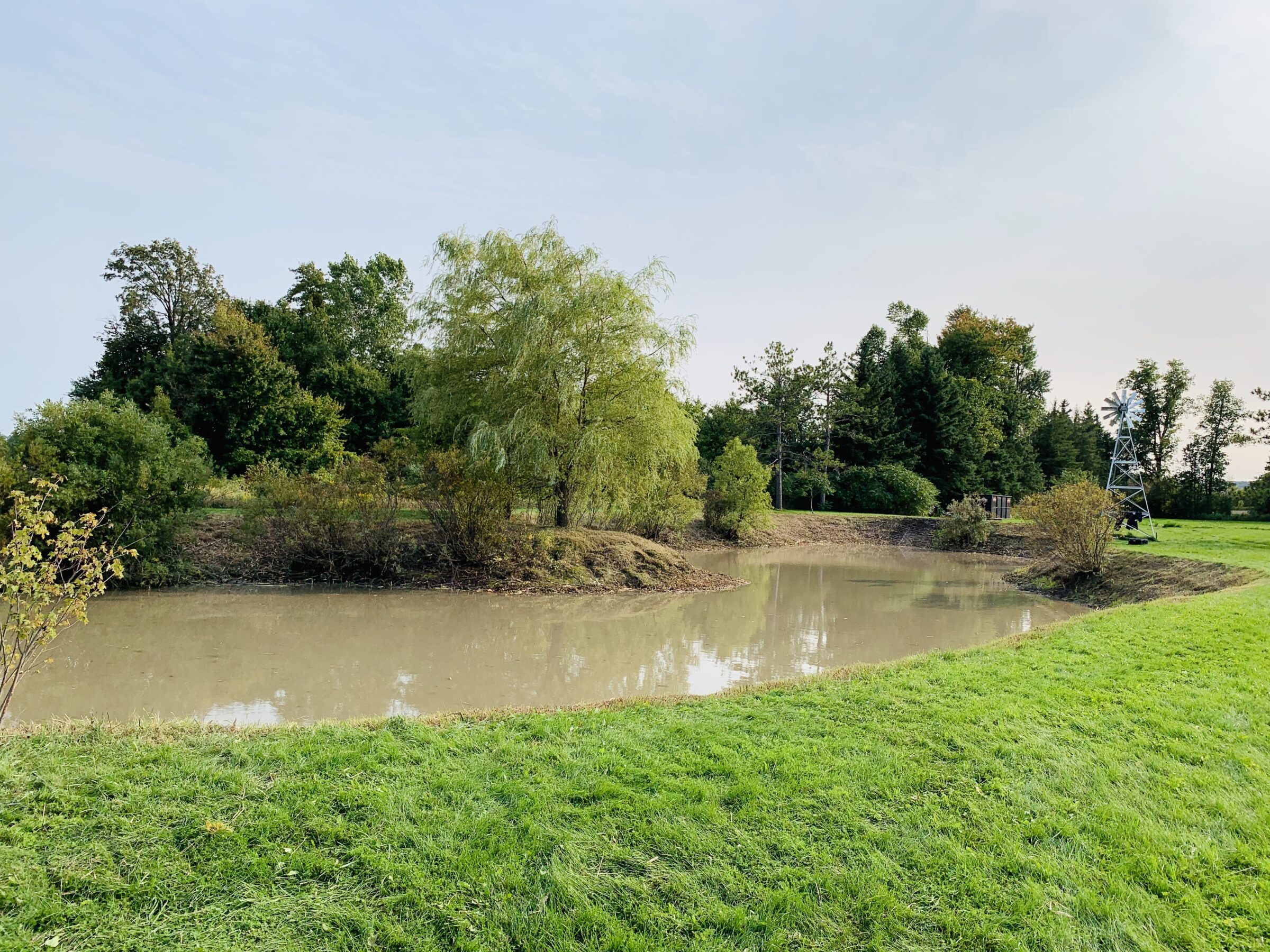 A serene pond surrounded by lush greenery and trees, with a small windmill visible in the distance, under a clear sky.