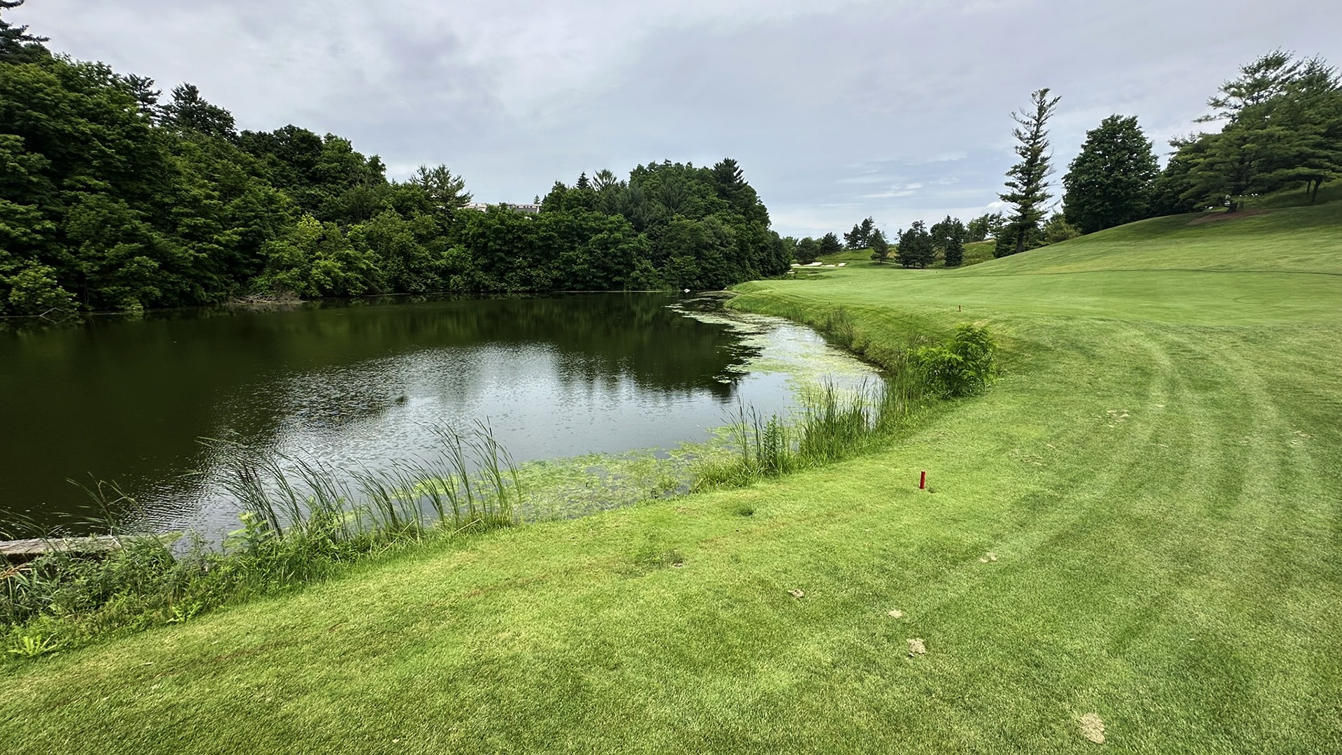 A serene golf course with a pond, lush green fairway, and surrounding trees under a cloudy sky, creating a peaceful landscape.