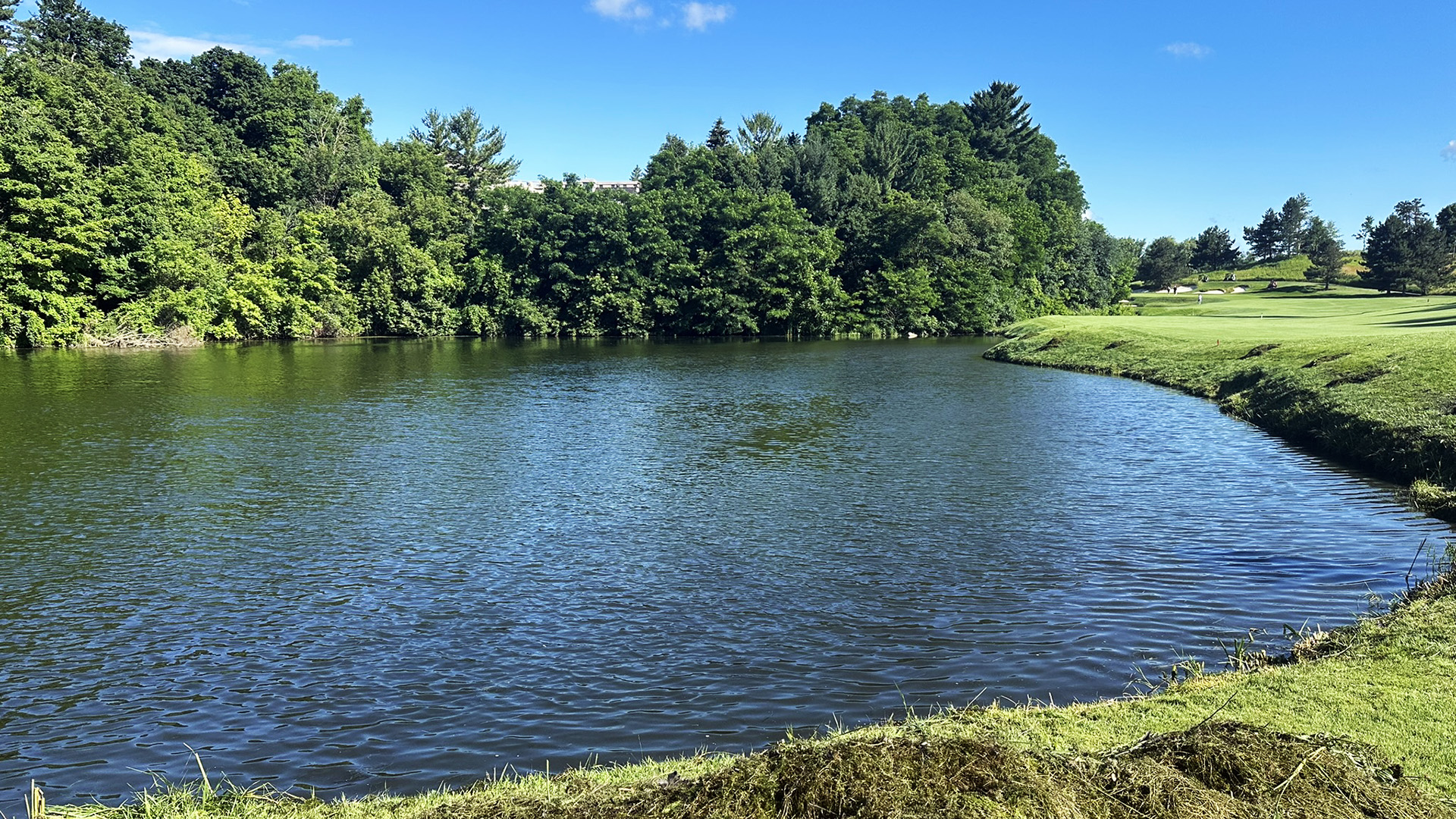 A serene lake bordered by lush trees and green grass under a clear blue sky, creating a peaceful natural scene.