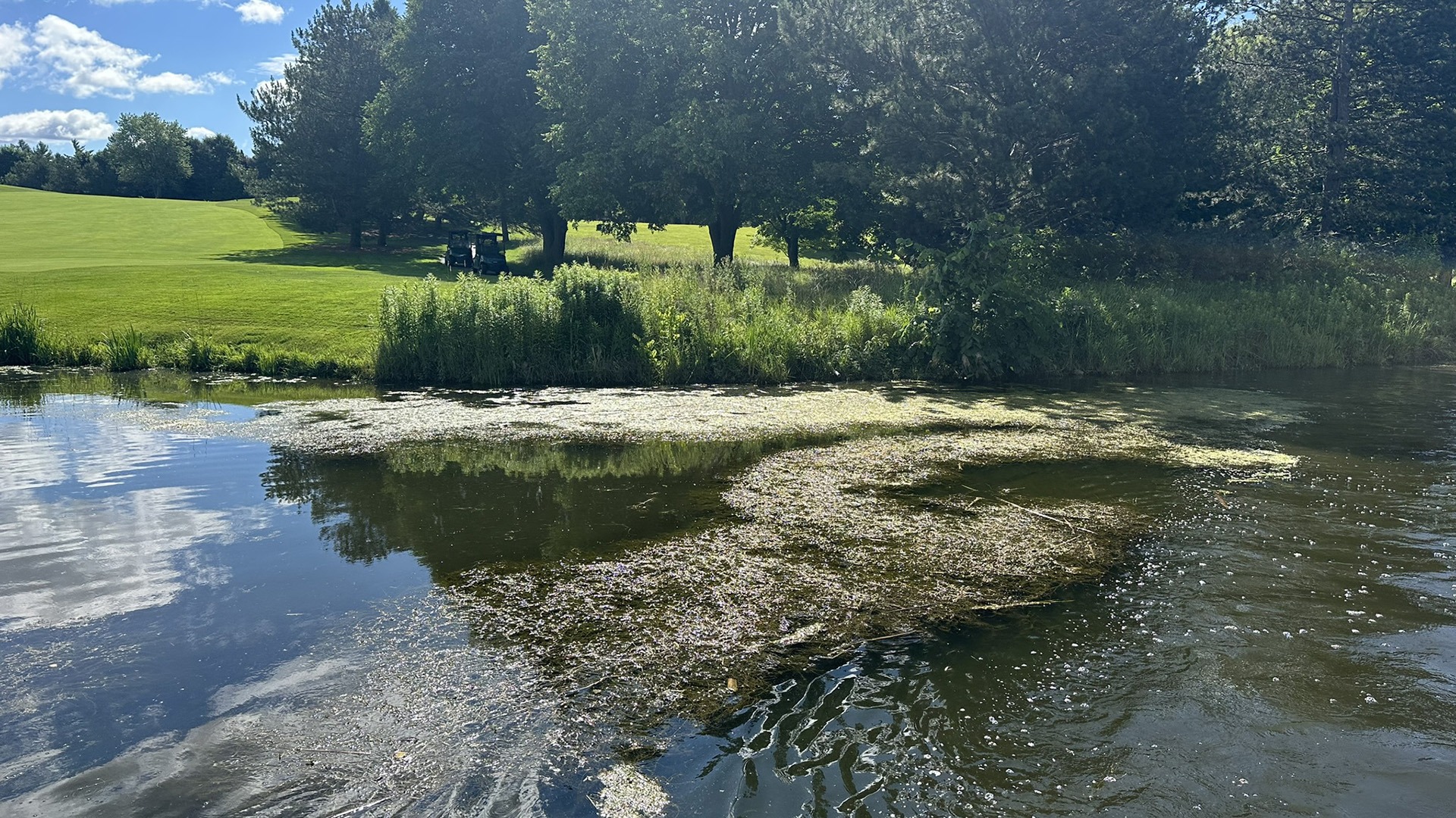 A tranquil golf course scene with a pond, grassy landscape, trees, and a person driving a golf cart under a clear blue sky.