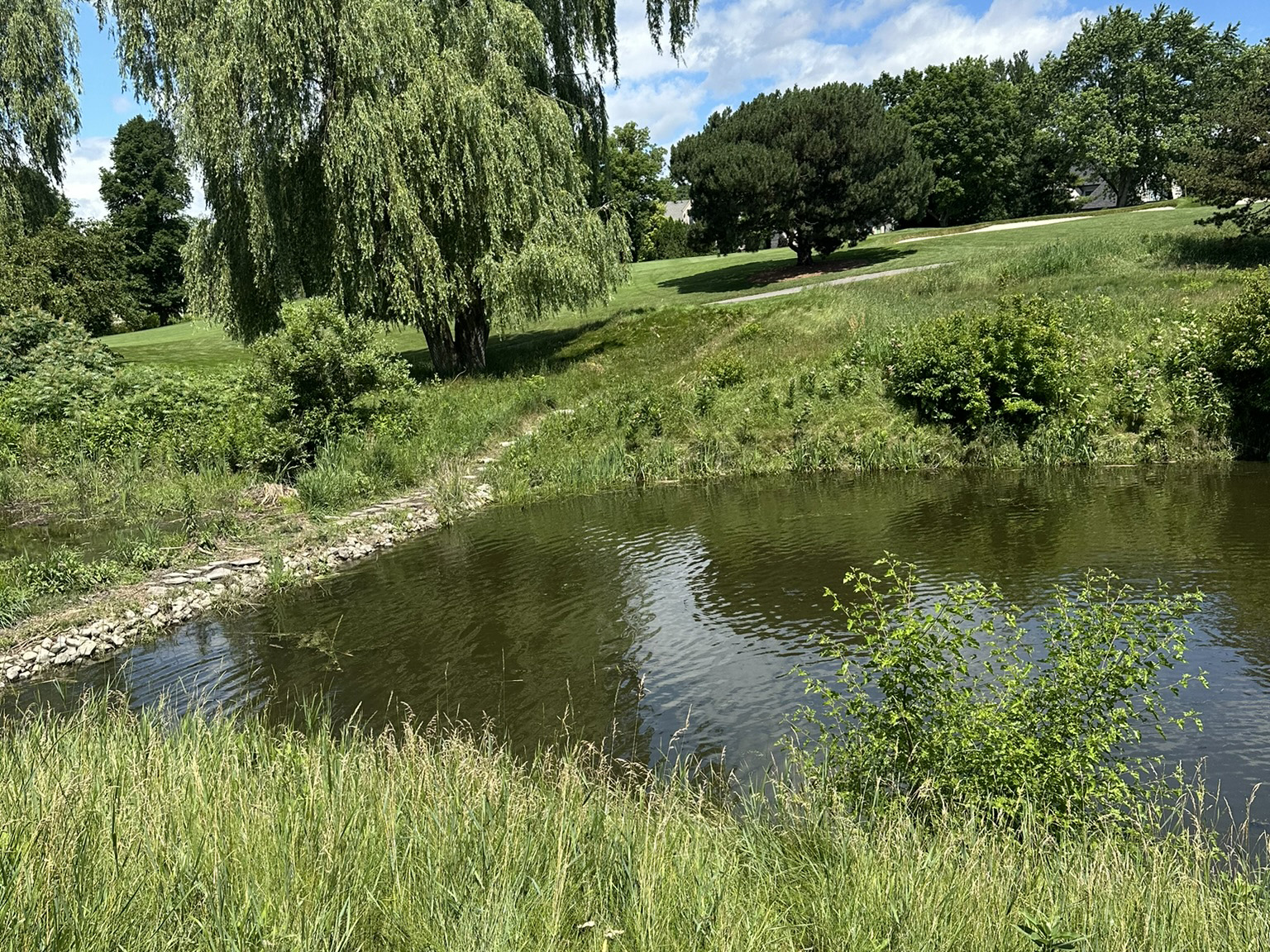 A tranquil pond surrounded by lush greenery and tall trees under a partially cloudy sky, creating a serene natural landscape.