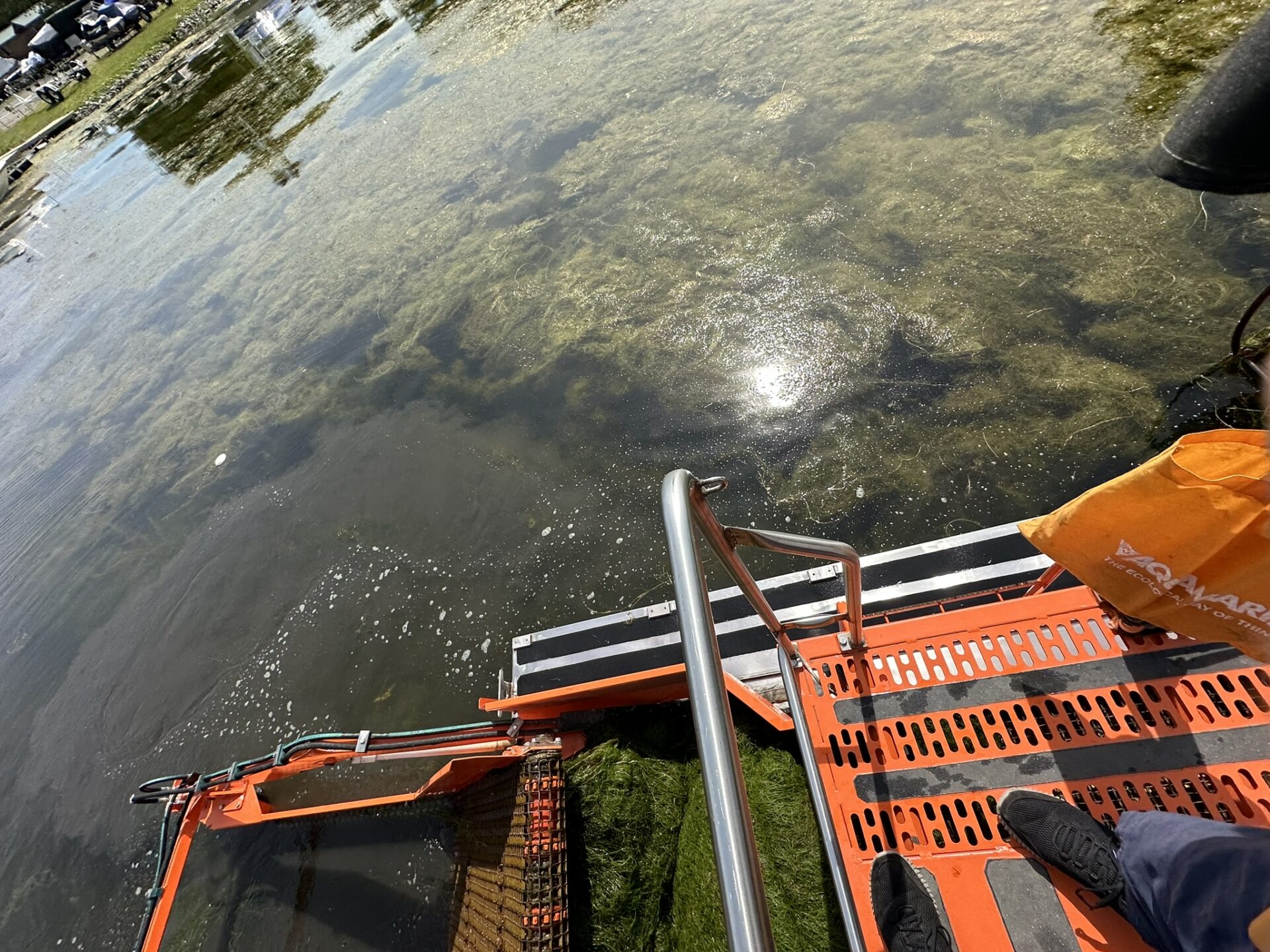 Person standing on an orange metal platform overlooking a clear water body with visible aquatic plants. Sunlight reflects on the surface.