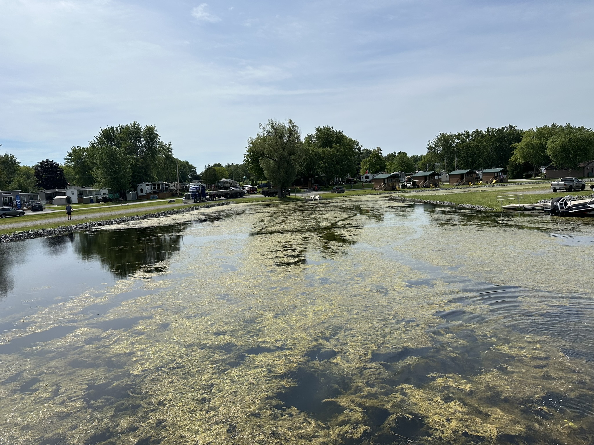 A peaceful lakeside scene with a person walking along the shore, surrounded by trees, houses, and parked cars under a clear sky.