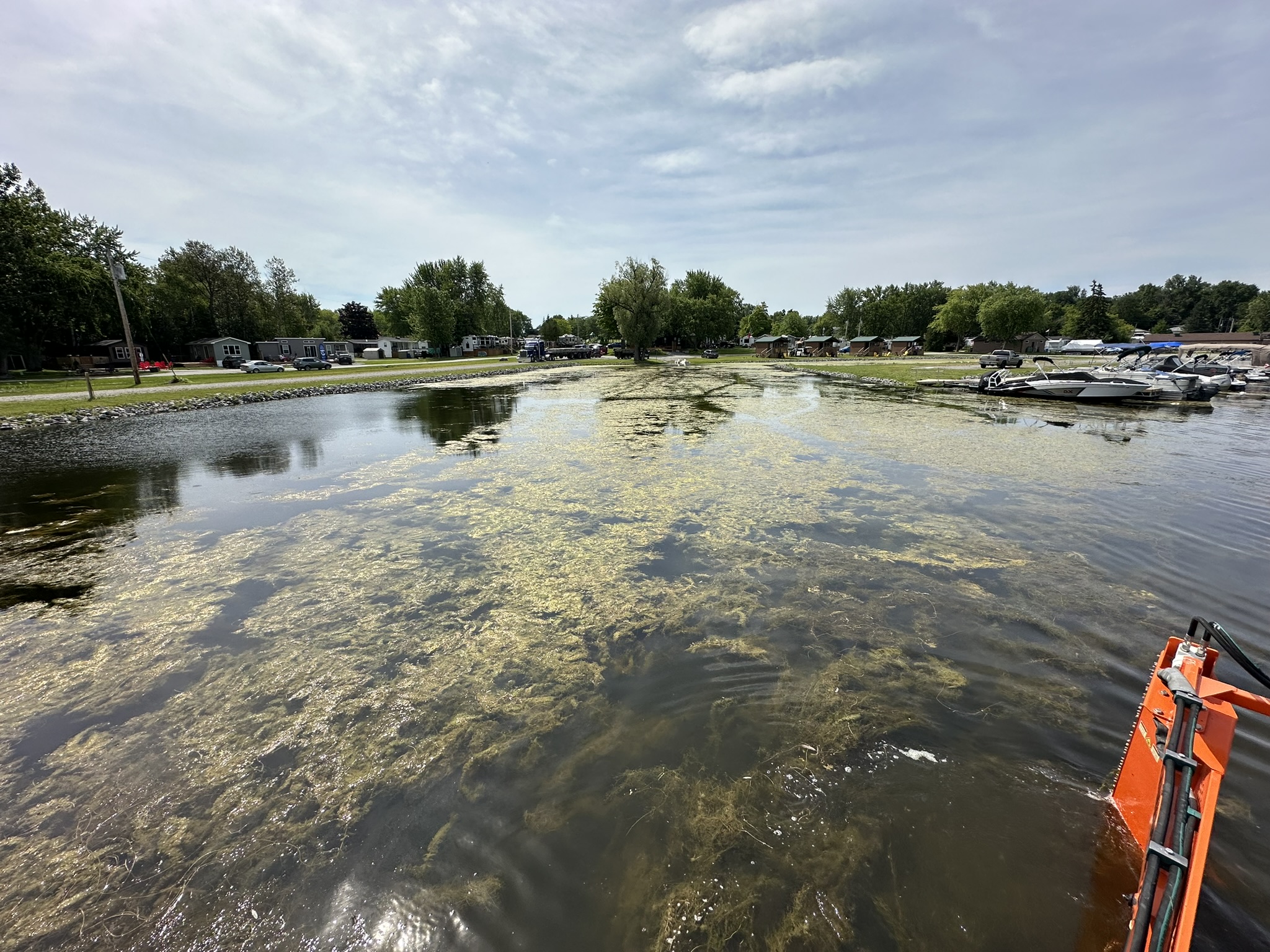 A waterway with boats is bordered by greenery and lakeside homes. Aquatic plants are visible on the shimmering water's surface.