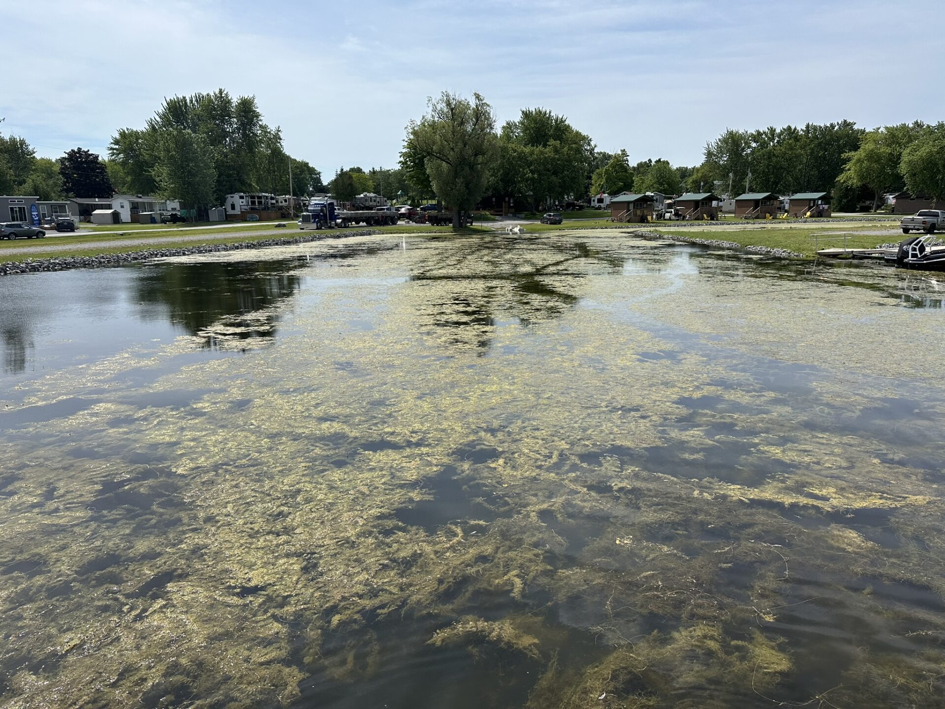 A small, peaceful lakeside area with cabins, vehicles, and lush trees. Algae covers the calm water, reflecting the serene surroundings.