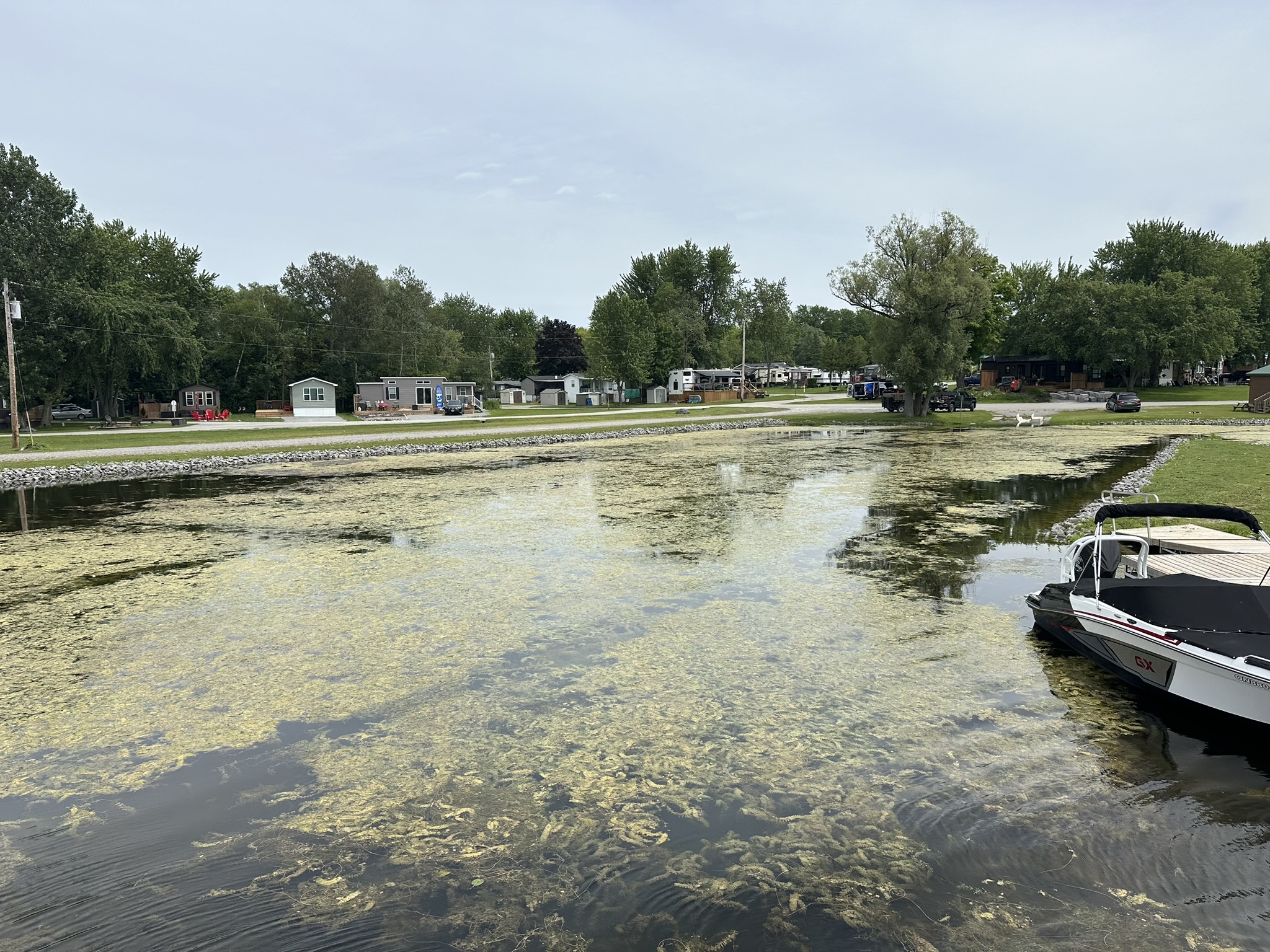 A calm lakeside view with a boat docked, small houses, lush trees, and a grassy area, showcasing a peaceful rural setting.