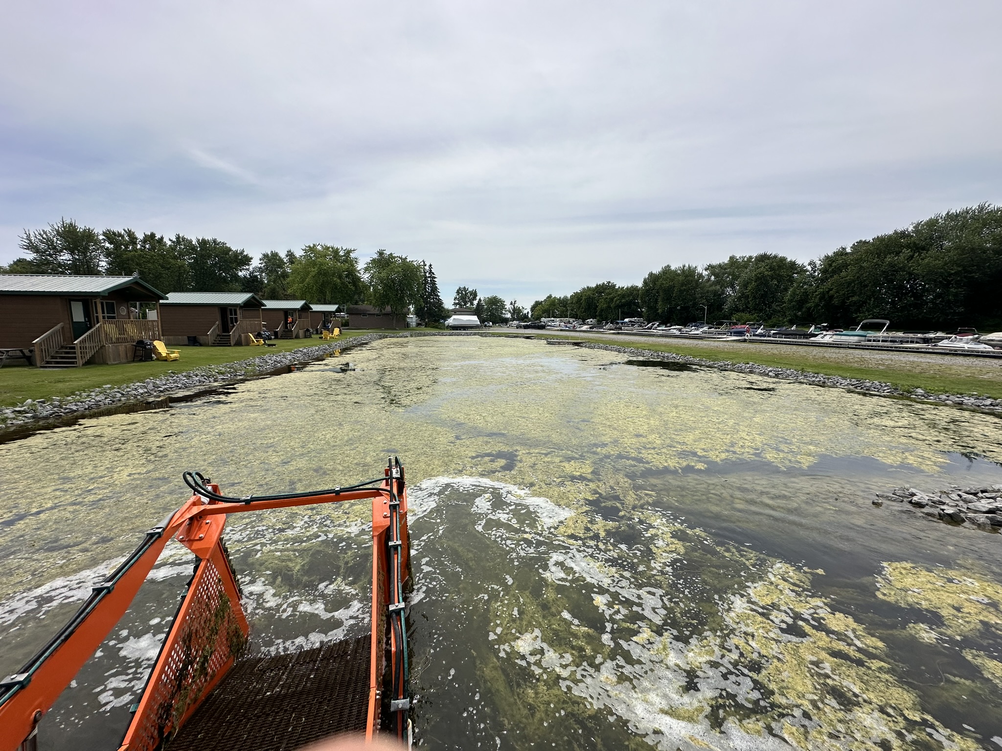 A small watercraft navigates an algae-covered canal with cabins and parked boats along the shore, framed by lush trees under a cloudy sky.