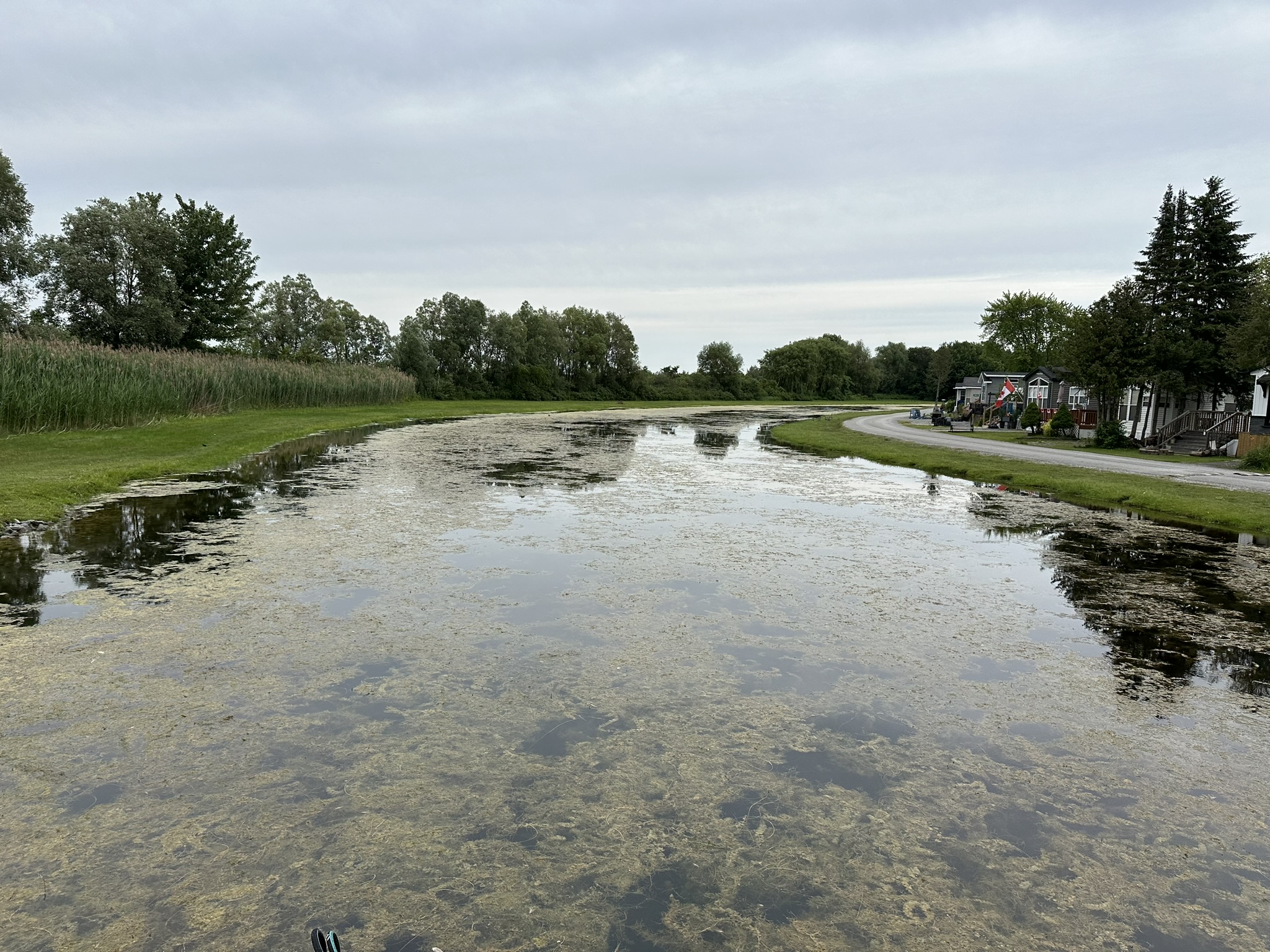 Calm waterway lined with trees and houses, bordered by grassy areas. A narrow road curves alongside, reflecting a peaceful, suburban setting.