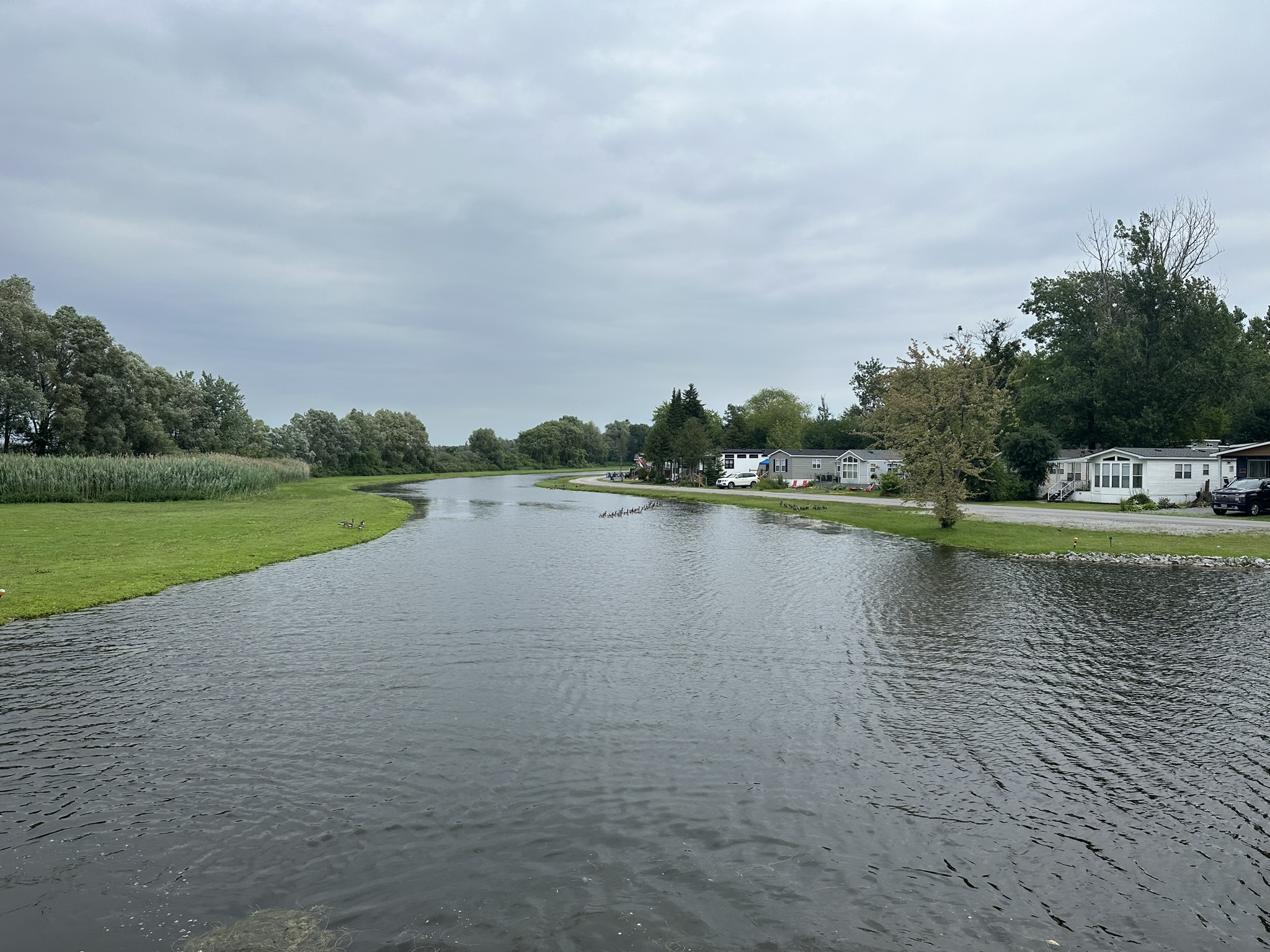 River winding through a park with trees, grassy banks, and residential houses visible. Overcast sky adds a gray tone to the scene.