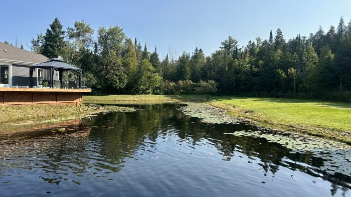 Weeds B Gone photo 2