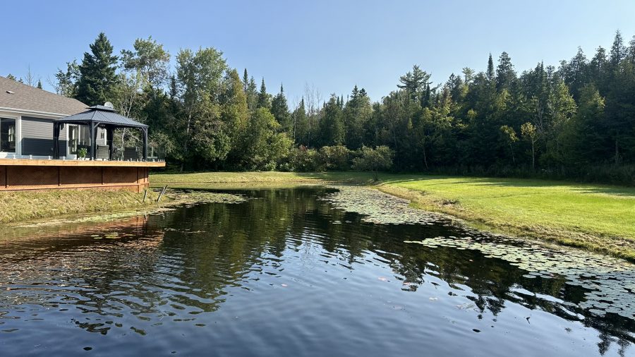 Weeds B Gone photo 3