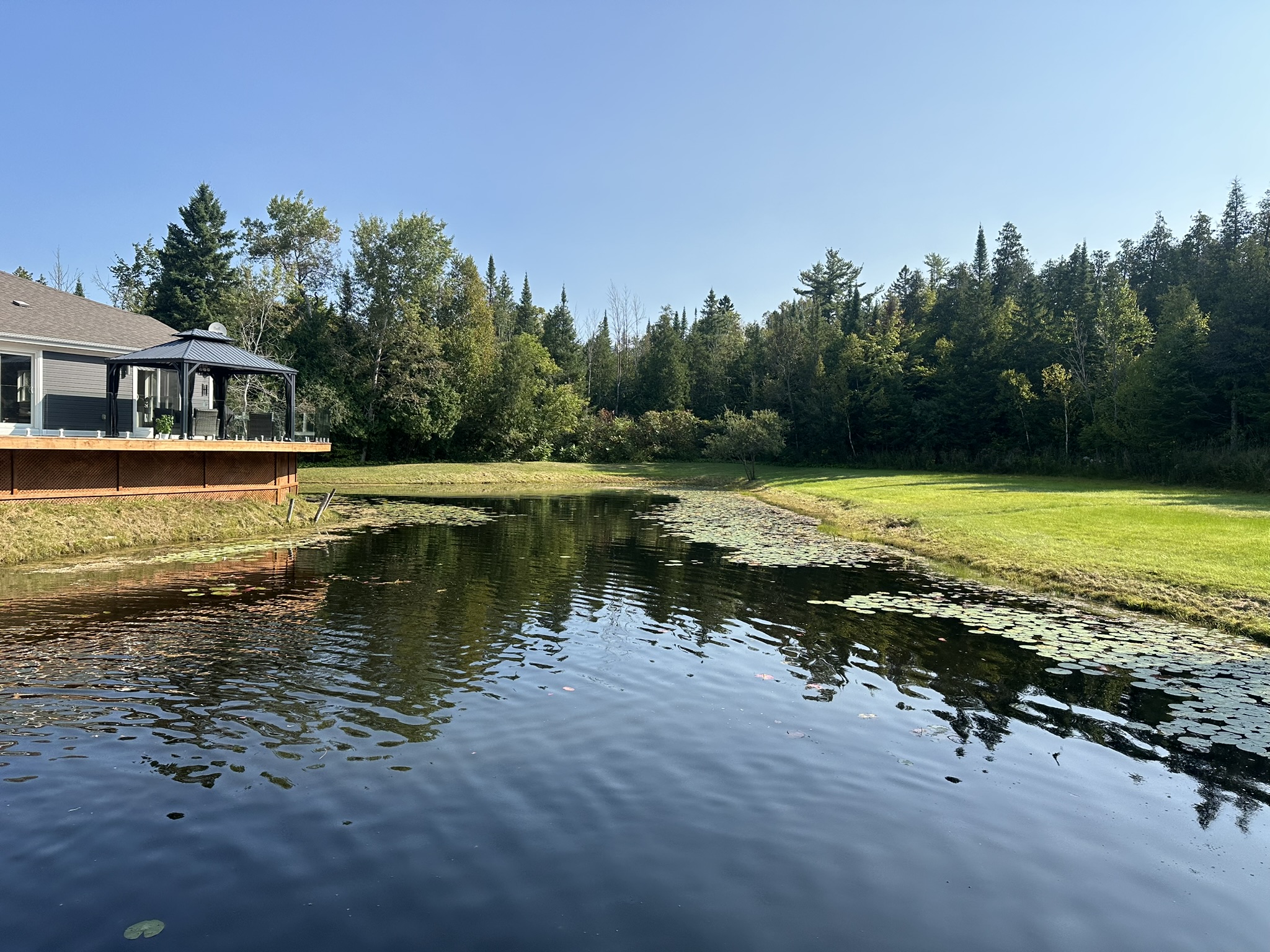 A serene house with a deck overlooks a small pond surrounded by lush trees and greenery under a clear blue sky.