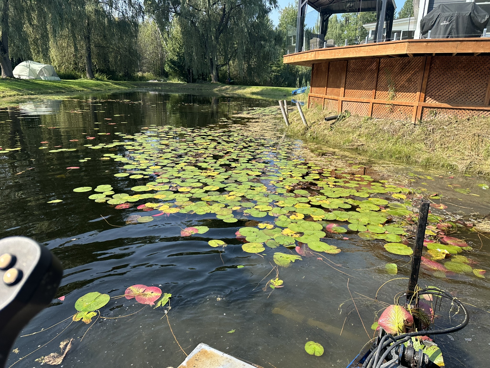 A pond with lily pads, surrounded by trees and a structure. A tent is pitched on the grassy area beside the water.