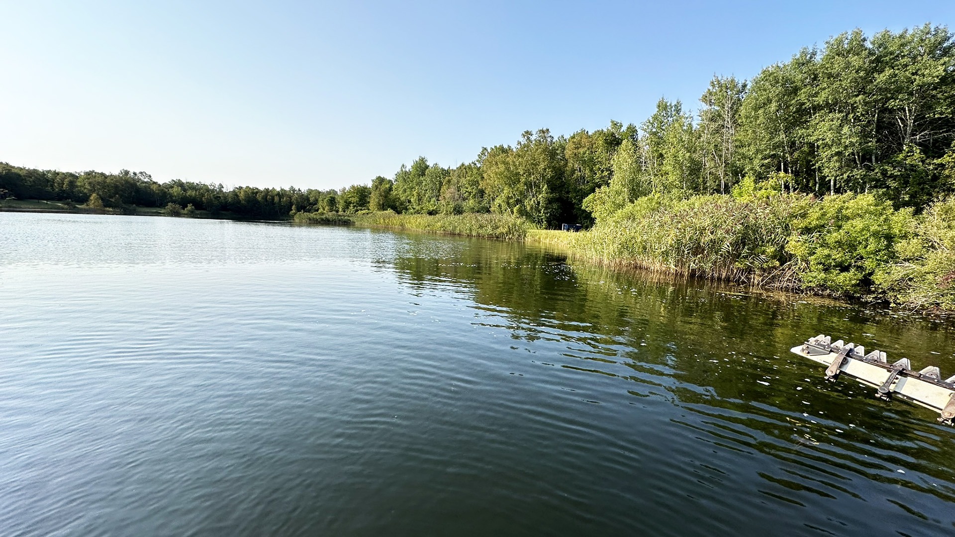 Calm lake scene with clear water, surrounded by lush greenery and trees under a bright blue sky, creating a serene natural landscape.