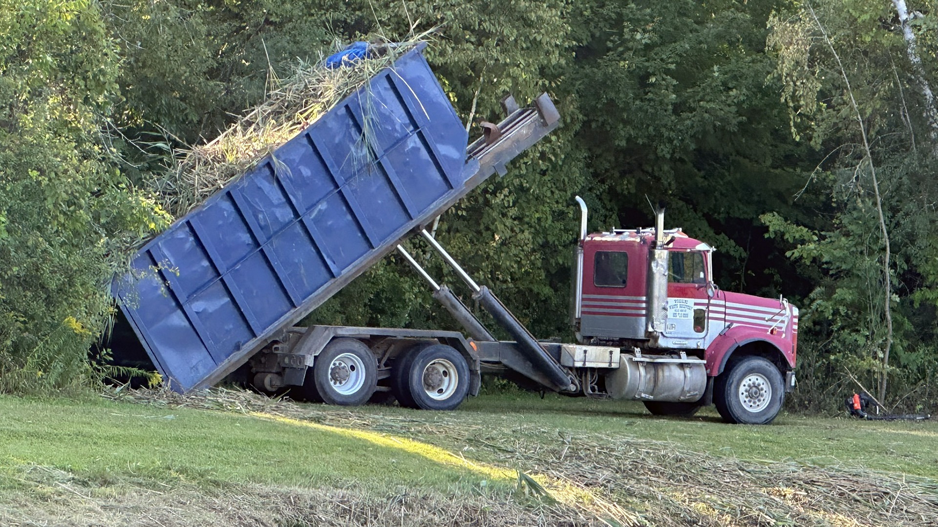 A red dump truck offloads vegetation in a grassy area, surrounded by lush green trees on a sunny day.