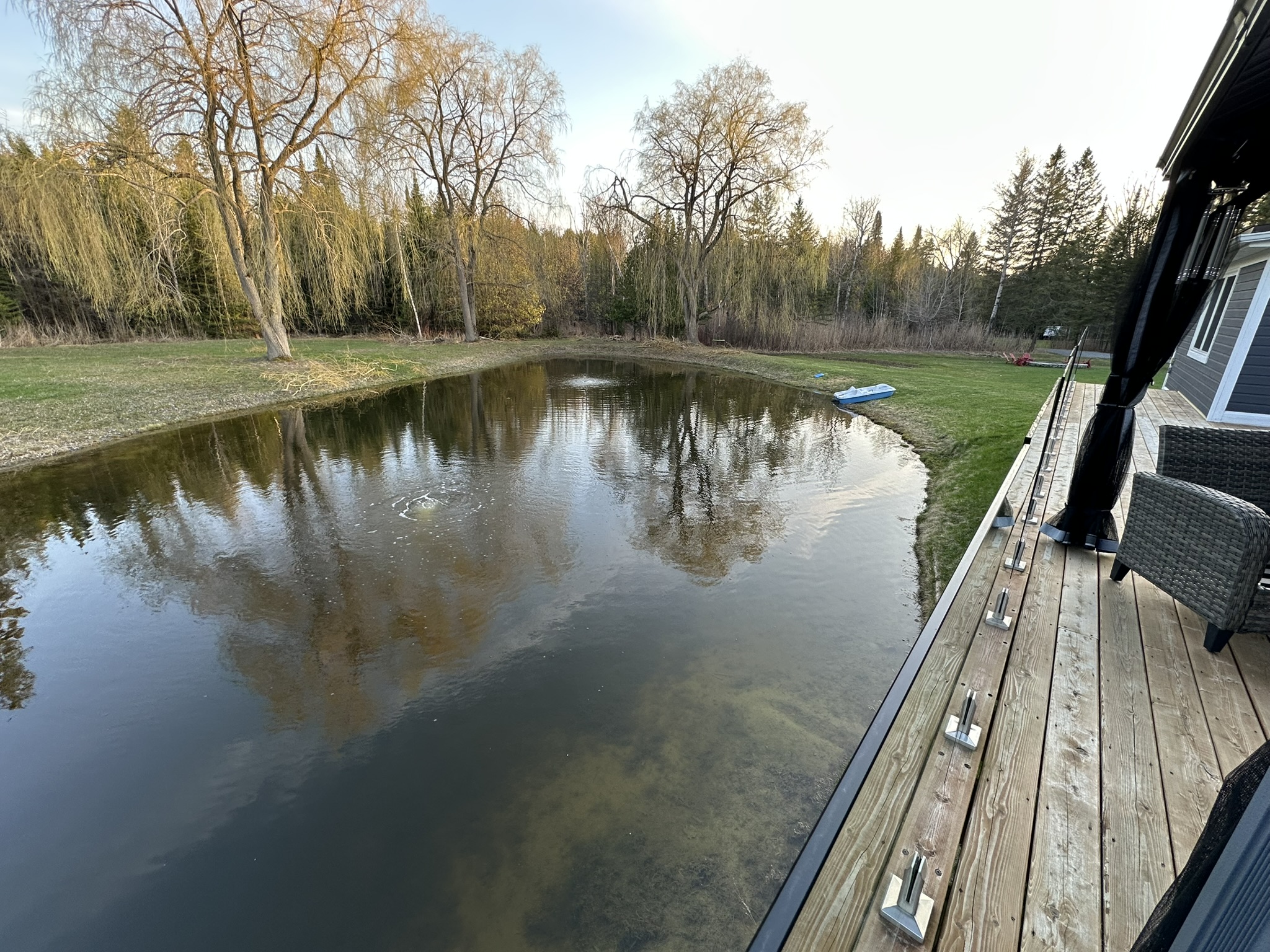 A serene pond reflects trees, with a blue boat on grassy shore beside a wooden deck and chairs, surrounded by forest.