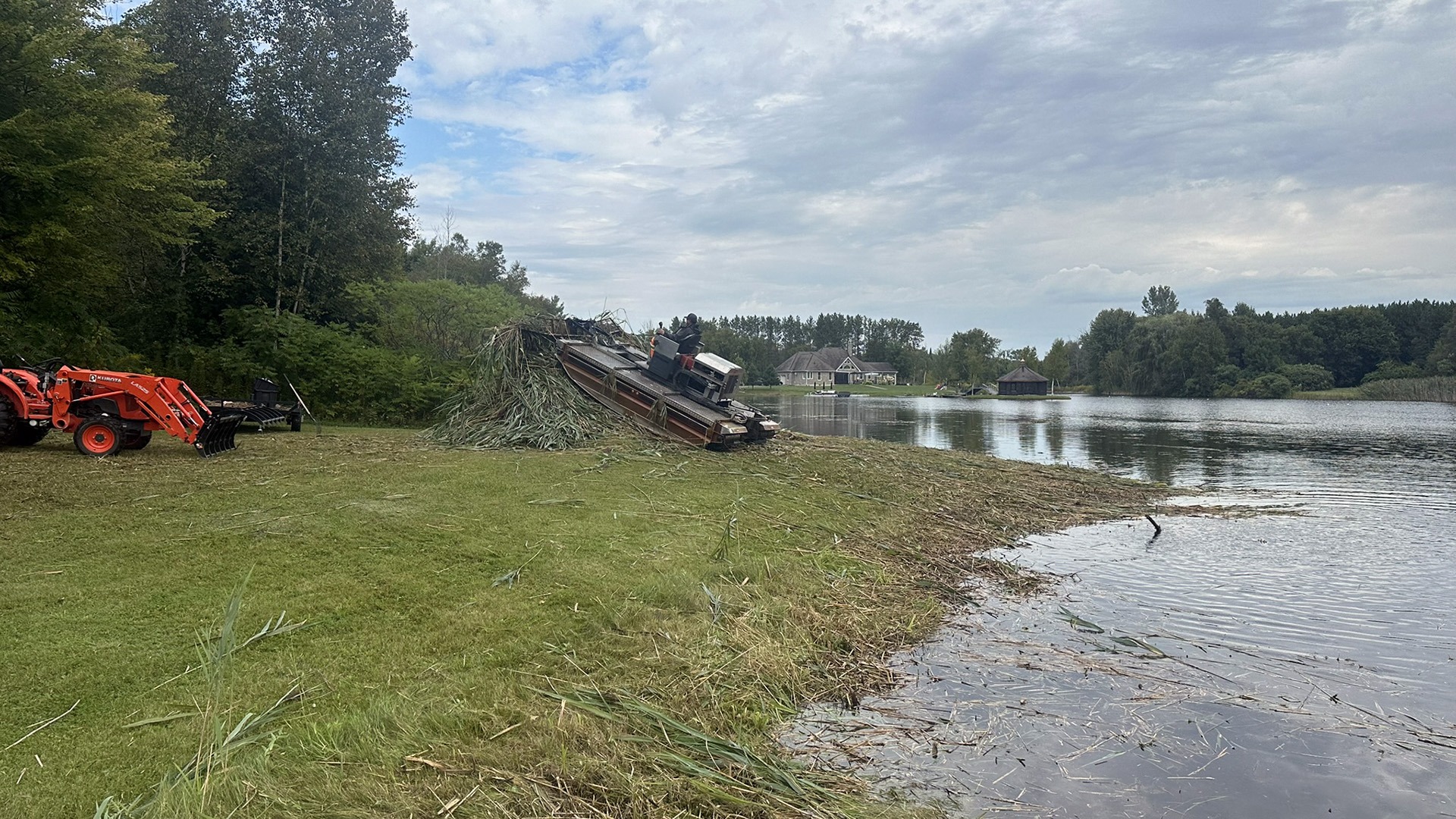 A person operates machinery collecting reeds by the lakeside near wooden buildings, with forested surroundings under a partly cloudy sky.