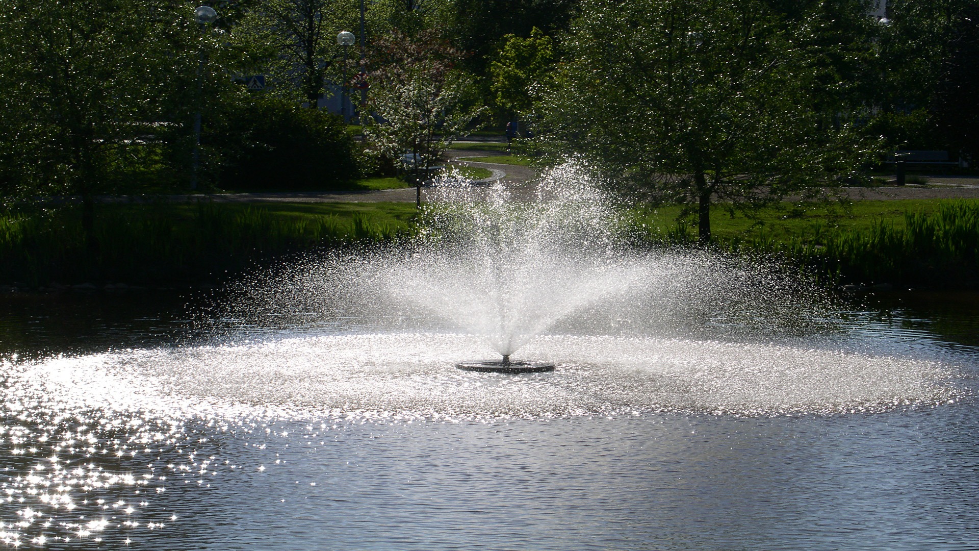 A serene pond with a central fountain sprays water, surrounded by lush greenery and winding pathways under a bright, sunny sky.