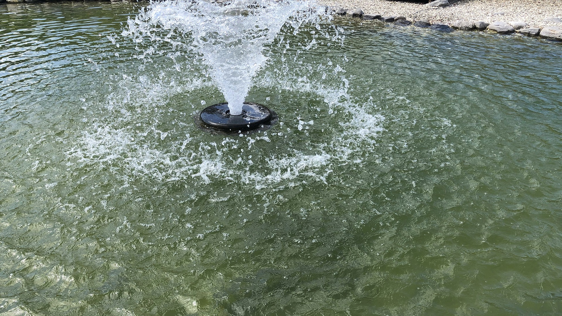 A small fountain sprays water upward in a pond surrounded by rocks and pebbles under a sunny sky.