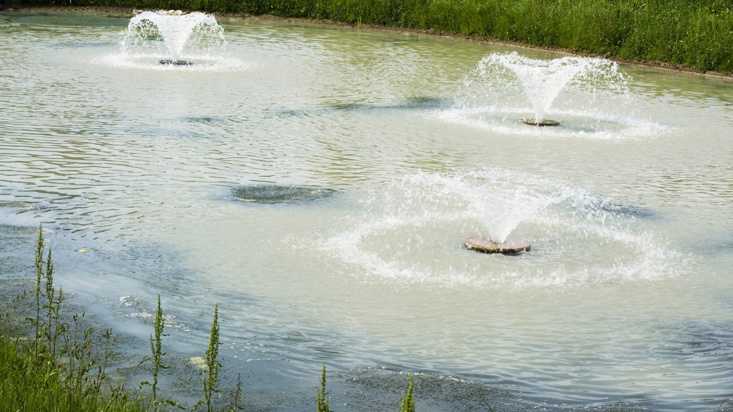 Three fountains spray water in a small pond surrounded by greenery, creating ripples and a serene outdoor atmosphere under the sunlight.
