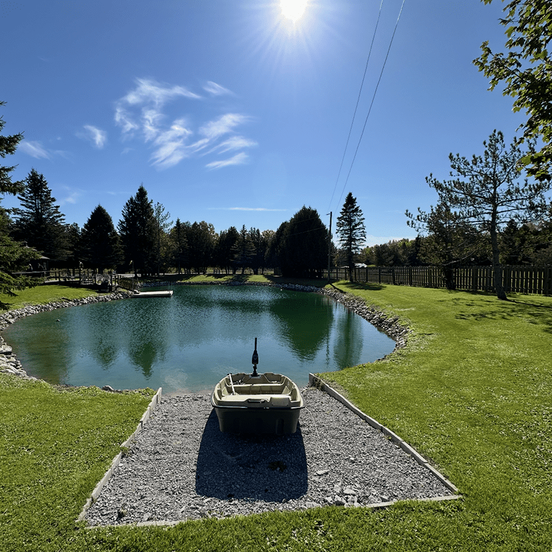 A small boat is docked by a serene pond, surrounded by lush green grass and trees, under a bright sunlit sky.