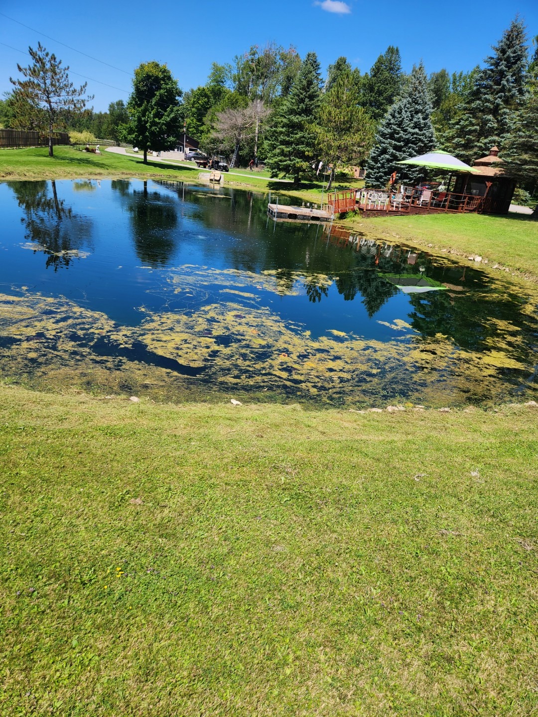 A serene pond bordered by lush trees, with a wooden deck and umbrella. Blue sky reflects in the calm water, creating a peaceful scene.